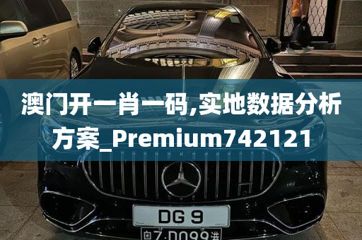 澳门开一肖一码,实地数据分析方案_Premium742121