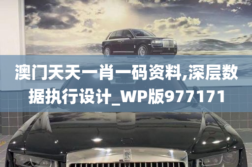 澳门天天一肖一码资料,深层数据执行设计_WP版977171