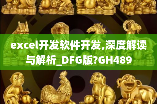 excel开发软件开发,深度解读与解析_DFG版?GH489