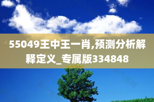 55049王中王一肖,预测分析解释定义_专属版334848