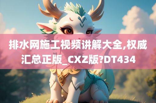 排水网施工视频讲解大全,权威汇总正版_CXZ版?DT434