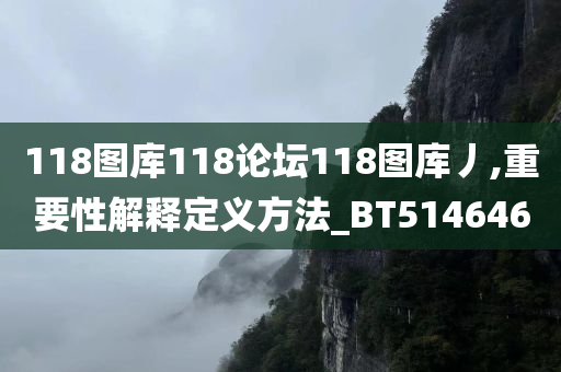 118图库118论坛118图库丿,重要性解释定义方法_BT514646