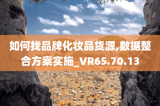 如何找品牌化妆品货源,数据整合方案实施_VR65.70.13