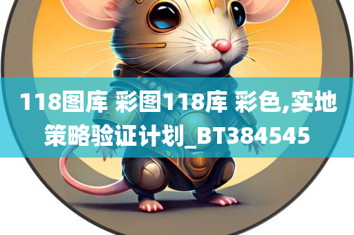 118图库 彩图118库 彩色,实地策略验证计划_BT384545