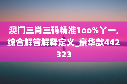 澳门三肖三码精准1oo%丫一,综合解答解释定义_豪华款442323