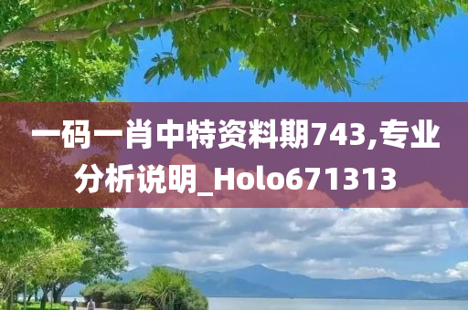 一码一肖中特资料期743,专业分析说明_Holo671313