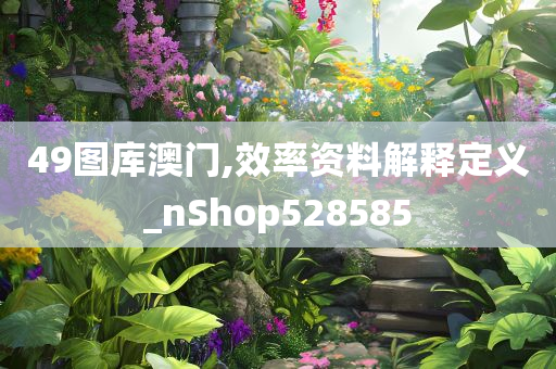 49图库澳门,效率资料解释定义_nShop528585