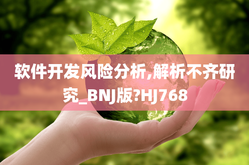 软件开发风险分析,解析不齐研究_BNJ版?HJ768