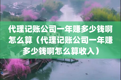 代理记账公司一年赚多少钱啊怎么算（代理记账公司一年赚多少钱啊怎么算收入）