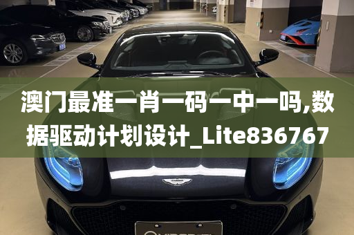 澳门最准一肖一码一中一吗,数据驱动计划设计_Lite836767