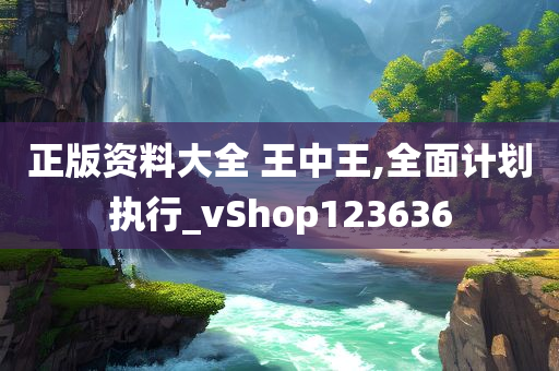 正版资料大全 王中王,全面计划执行_vShop123636