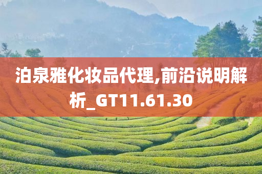 泊泉雅化妆品代理,前沿说明解析_GT11.61.30