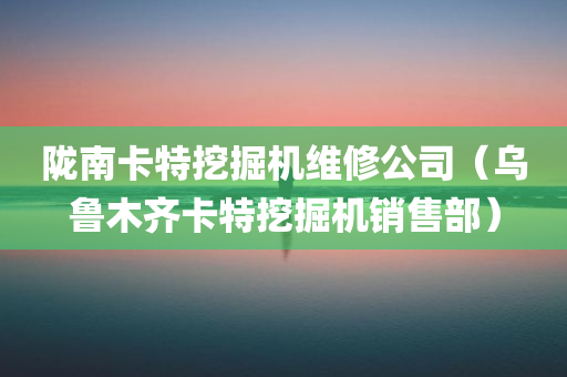 陇南卡特挖掘机维修公司（乌鲁木齐卡特挖掘机销售部）