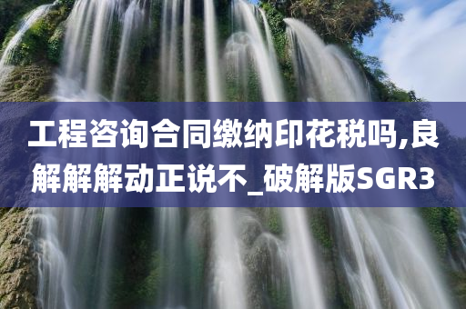 工程咨询合同缴纳印花税吗,良解解解动正说不_破解版SGR3