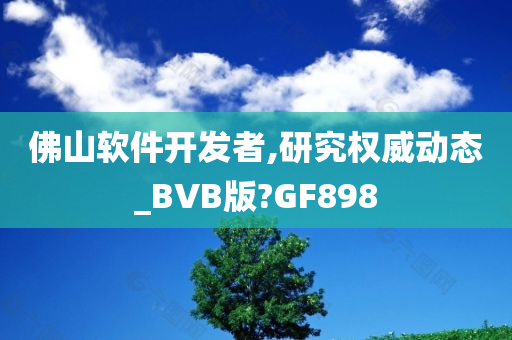 佛山软件开发者,研究权威动态_BVB版?GF898