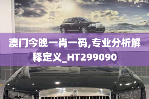 澳门今晚一肖一码,专业分析解释定义_HT299090