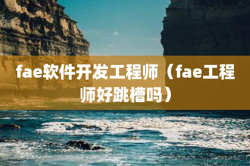 fae软件开发工程师（fae工程师好跳槽吗）