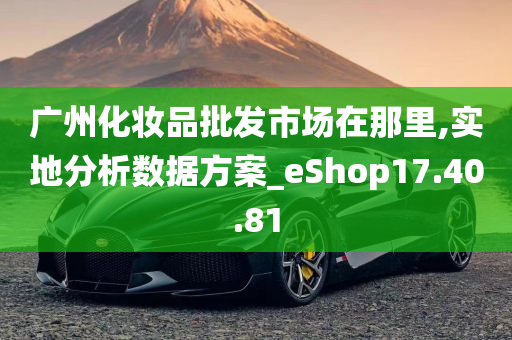 广州化妆品批发市场在那里,实地分析数据方案_eShop17.40.81