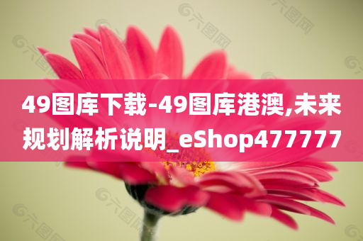 49图库下载-49图库港澳,未来规划解析说明_eShop477777