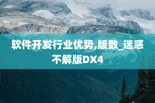 软件开发行业优势,版数_迷惑不解版DX4