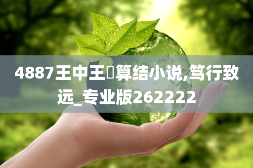 4887王中王鉄算结小说,笃行致远_专业版262222