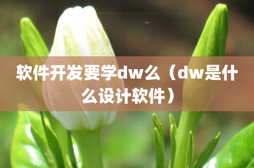 软件开发要学dw么（dw是什么设计软件）