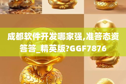 成都软件开发哪家强,准答态资答答_精英版?GGF7876