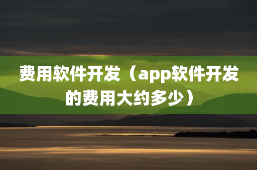 费用软件开发（app软件开发的费用大约多少）