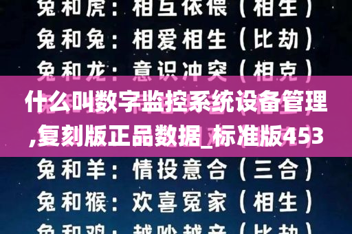 什么叫数字监控系统设备管理,复刻版正品数据_标准版453