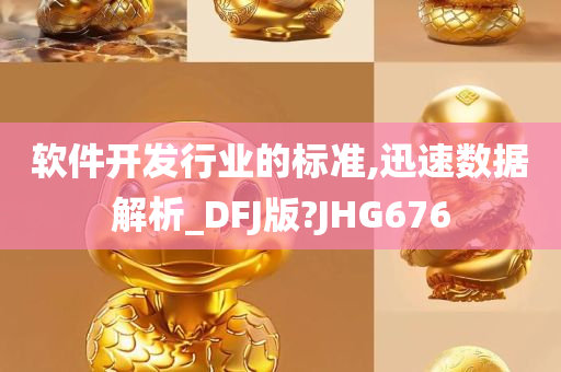 软件开发行业的标准,迅速数据解析_DFJ版?JHG676