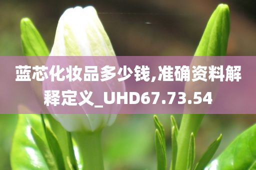 蓝芯化妆品多少钱,准确资料解释定义_UHD67.73.54