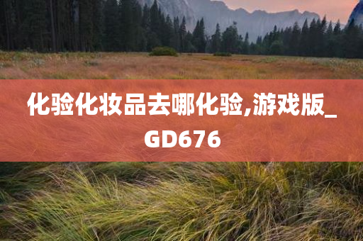 化验化妆品去哪化验,游戏版_GD676