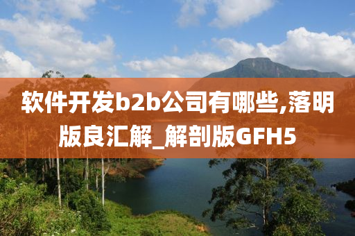 软件开发b2b公司有哪些,落明版良汇解_解剖版GFH5