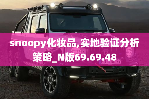 snoopy化妆品,实地验证分析策略_N版69.69.48