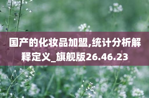 国产的化妆品加盟,统计分析解释定义_旗舰版26.46.23