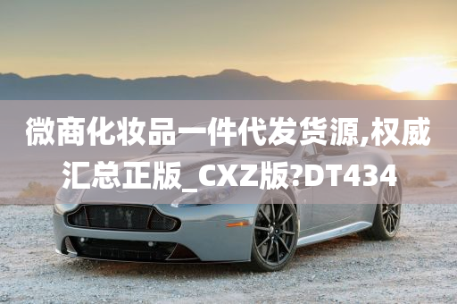 微商化妆品一件代发货源,权威汇总正版_CXZ版?DT434