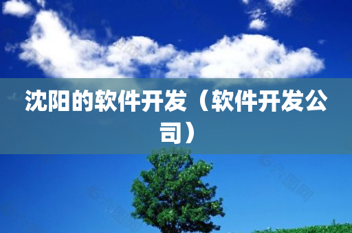 沈阳的软件开发（软件开发公司）