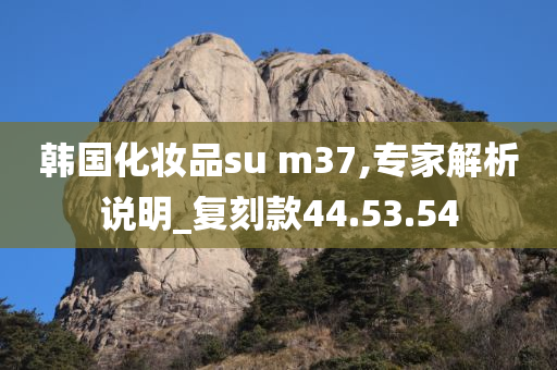 韩国化妆品su m37,专家解析说明_复刻款44.53.54