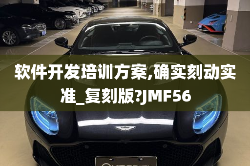 软件开发培训方案,确实刻动实准_复刻版?JMF56