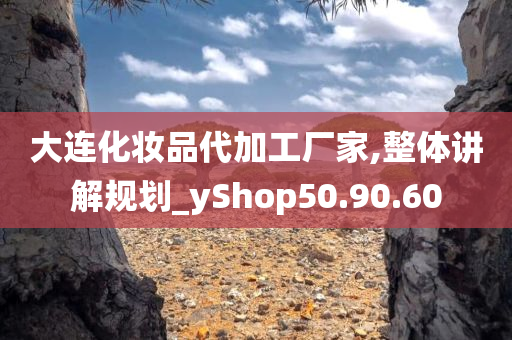 大连化妆品代加工厂家,整体讲解规划_yShop50.90.60