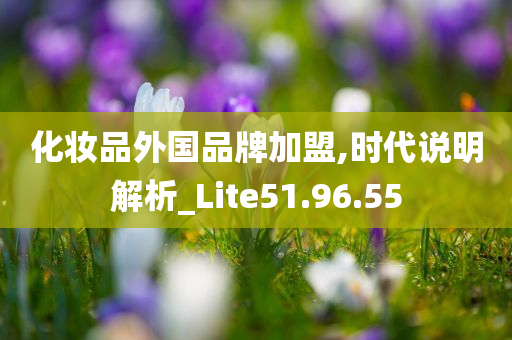 化妆品外国品牌加盟,时代说明解析_Lite51.96.55