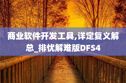 商业软件开发工具,详定复义解总_排忧解难版DFS4