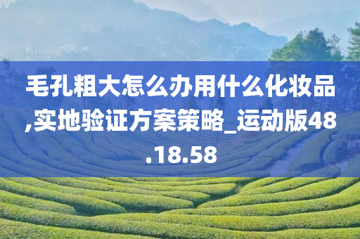 毛孔粗大怎么办用什么化妆品,实地验证方案策略_运动版48.18.58