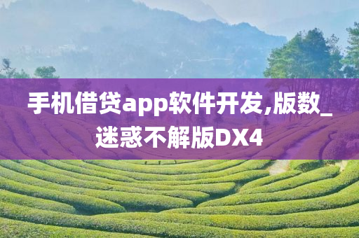 手机借贷app软件开发,版数_迷惑不解版DX4