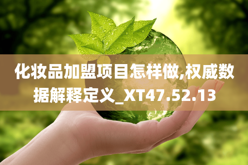 化妆品加盟项目怎样做,权威数据解释定义_XT47.52.13