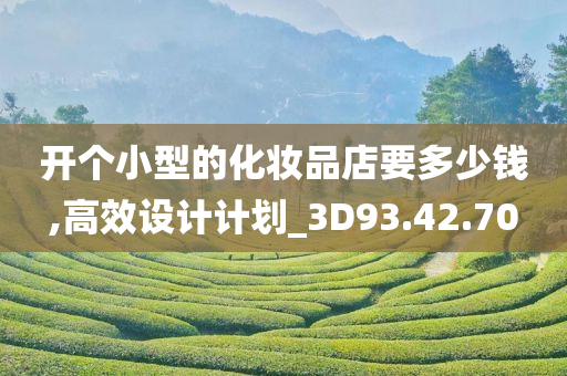 开个小型的化妆品店要多少钱,高效设计计划_3D93.42.70