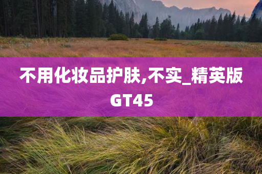 不用化妆品护肤,不实_精英版GT45