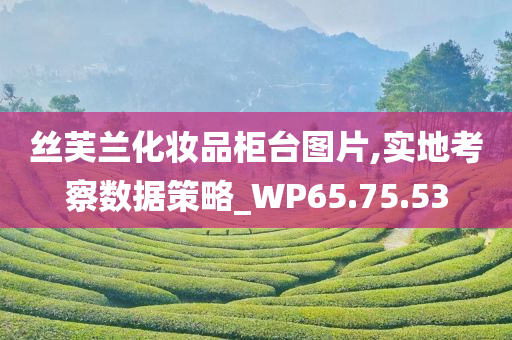 丝芙兰化妆品柜台图片,实地考察数据策略_WP65.75.53