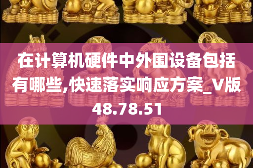 在计算机硬件中外围设备包括有哪些,快速落实响应方案_V版48.78.51