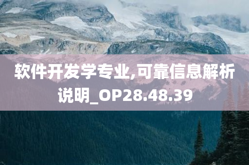 软件开发学专业,可靠信息解析说明_OP28.48.39